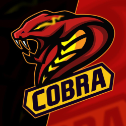 COBRA ESPORTS