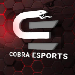 COBRA ESPORTS 