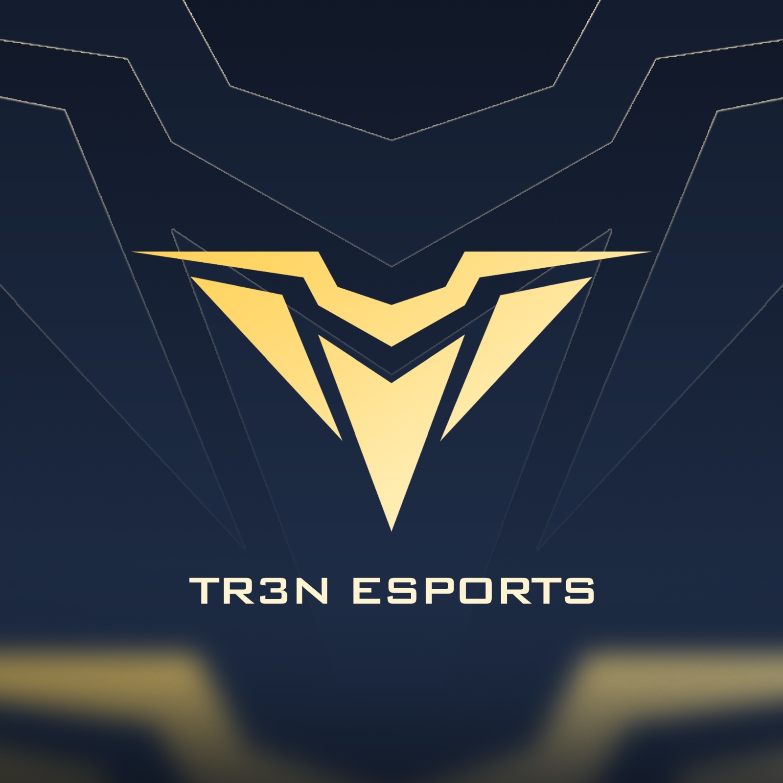 TR3N ESPORTS