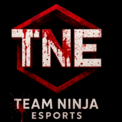 TEAM NINJA ESPORTS 